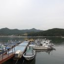 진동천 | 마산 진동 맛집 일미횟집 다구리 바닷가 돌돔 회 맛있어