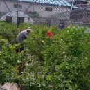 현주농장 이미지