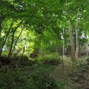 죽도야영체험장 이미지