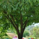 금평농장 이미지