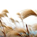 생각의 오름 이미지