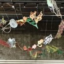 형진한의원 이미지