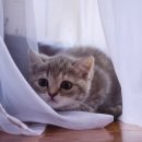 고현치과의원 이미지