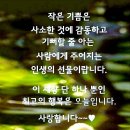 프랜즈스크린 - 서구 계백로 900 | 프랜즈스크린