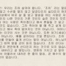 조히 이미지