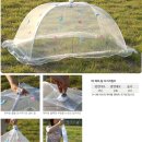 유아요가 이미지