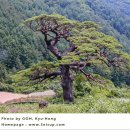 생명살림집 이미지