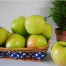 태형농장 이미지