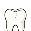 양정베스트치과의원 이미지