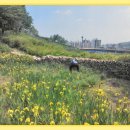 학산서원터 이미지