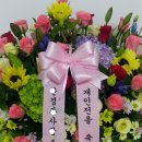영아트플라워