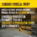 영희비어 이미지