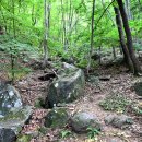 태학산자연휴양림 이미지