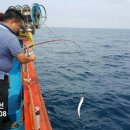 파인뜰 펜션 이미지