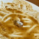 수원-1269 | 행궁동 라부 네코카레 키티우동 내돈내산 후기