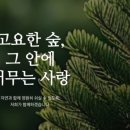 일산수목장