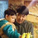 하이주