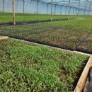 류림농장 이미지