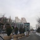 분당-313 이미지