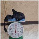 증평의류 | 진천 음성 증평 청주 헌옷수거｜싸이네 헌옷 방문수거 실제 이용 후기