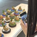 풍란 | 초등학생과 함께한 힐링 수업! 산동도서관 &#39;산위를 정복한 풍란이&#39; 클래스 후기 - 구미식물공방 녹색주의보