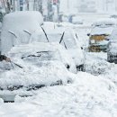 프리존돔볼링센터 이미지