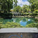 빽다방 태백중앙점 이미지