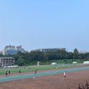 목동인라인트랙 | 반포종합운동장 트랙 러닝