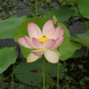 곤지암도자기공원 이미지