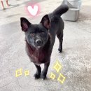 Ritae/ 1 year/ Male 이미지