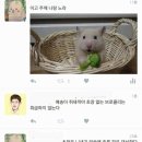 더놀자PC 이미지