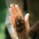 주식회사 패투헤븐 이미지