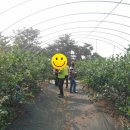 장동농장 이미지