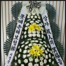 국가대표꽃배달엔플라워 이미지