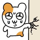 보라매동-2 이미지