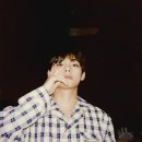 강아지랑 고양이 이미지