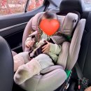 28245-11-24-001 | 딩크였던 초보아빠의 일상 및 육아일기 Part.11 (내돈내산 아이템들, 신시아, 요즘 보는 것들, 생각)