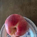 경봉마트 | 농라//도모농장 경봉복숭아 4키로후기