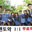 멘토코칭과외
