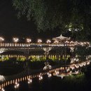 관광단지로(성곡동) 이미지