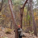 동해안 해안도로의 잔차여행(2009.11.05~11.09) 이미지