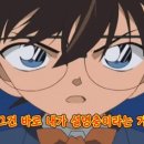퍼피아일랜드 - 목포시 포미로10번길 14 | 퍼피아일랜드