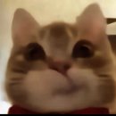 달무리농장 | 영원을 모사하는 우리의 문장을 등 뒤에 받쳐두고 잠을 청하는 밤