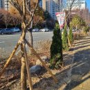 정관중앙로 이미지