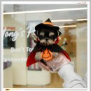 러빙펫 강아지분양 배곧본점 | 시흥강아지분양 홍스퍼피 입양 후기