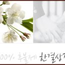 한결상조서비스 이미지