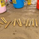 해변하우스민박 이미지