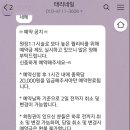 태리네일