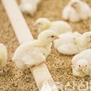 태주농장 이미지