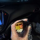나비꼬마김밥